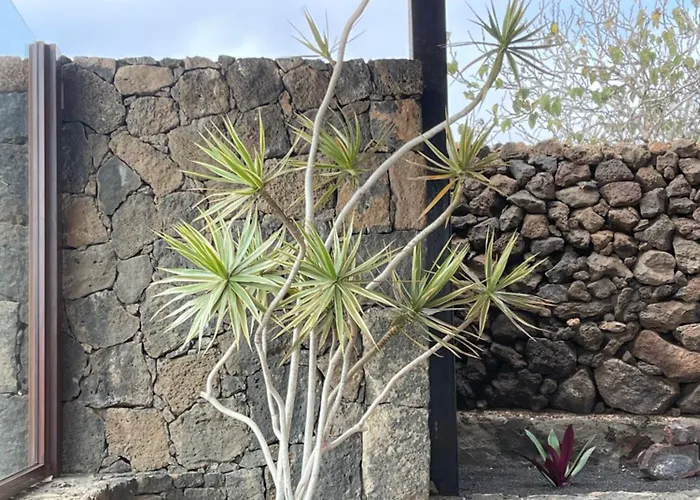 Timanfaya 빌라 티나조